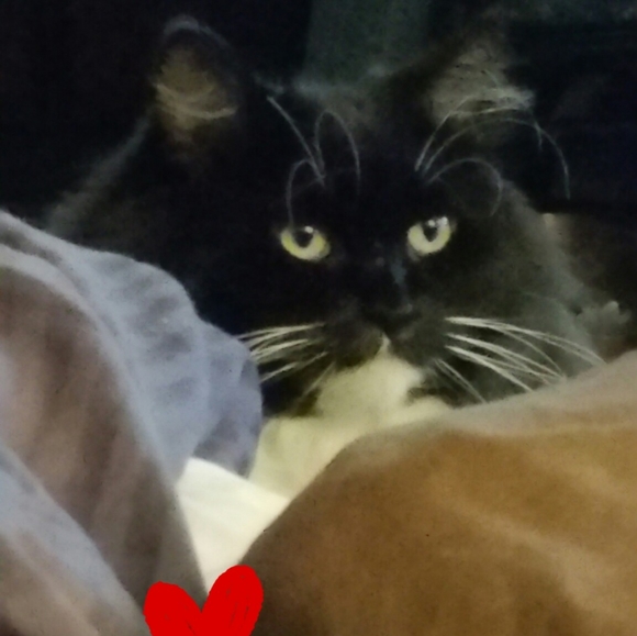 Meet your Posher, Barbara - Picture 5 of 9